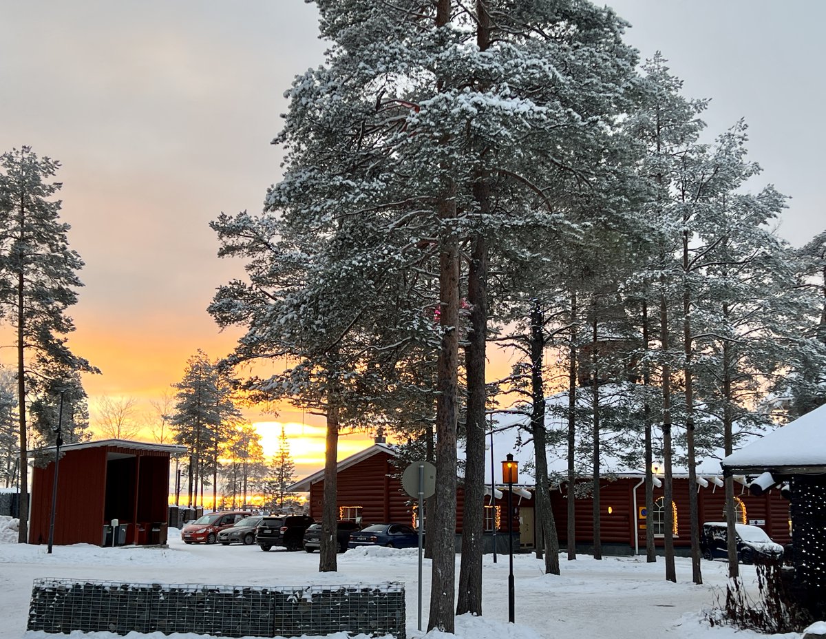 Chip Walter tweet media