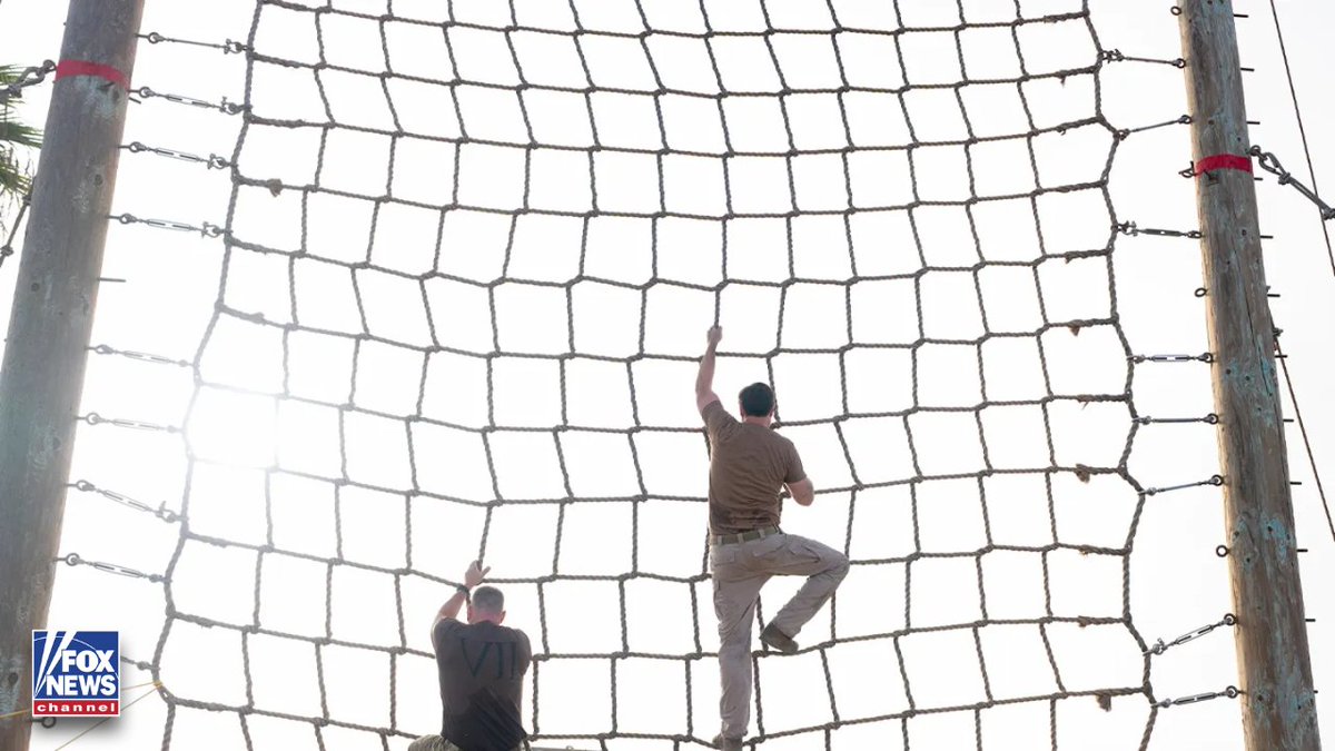 Fox News tweet media