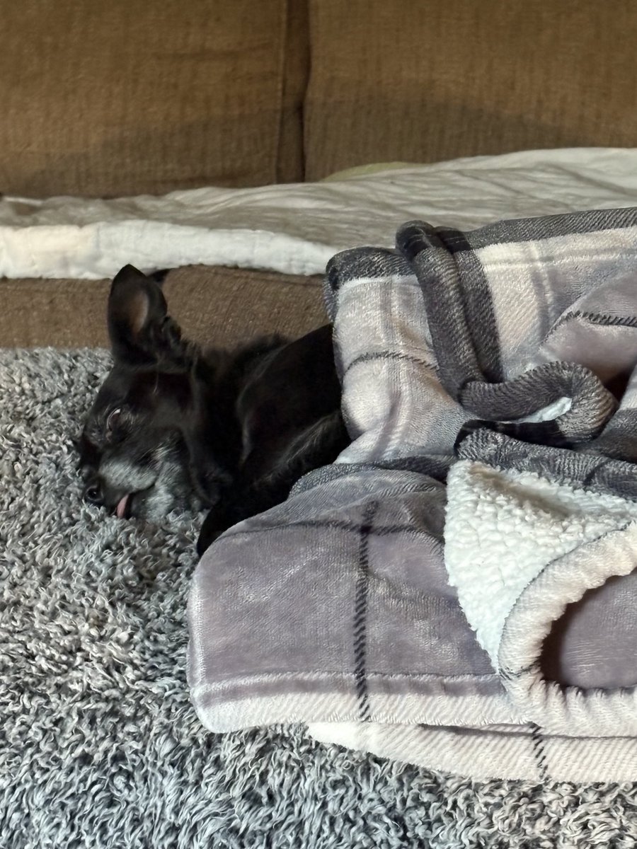 Notchseven's tweet image. Yeah she’s alive!!