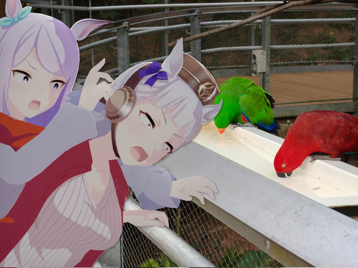 Kaiser (Uma Musume Arc) tweet media