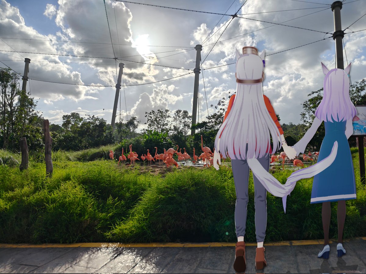 Kaiser (Uma Musume Arc) tweet media