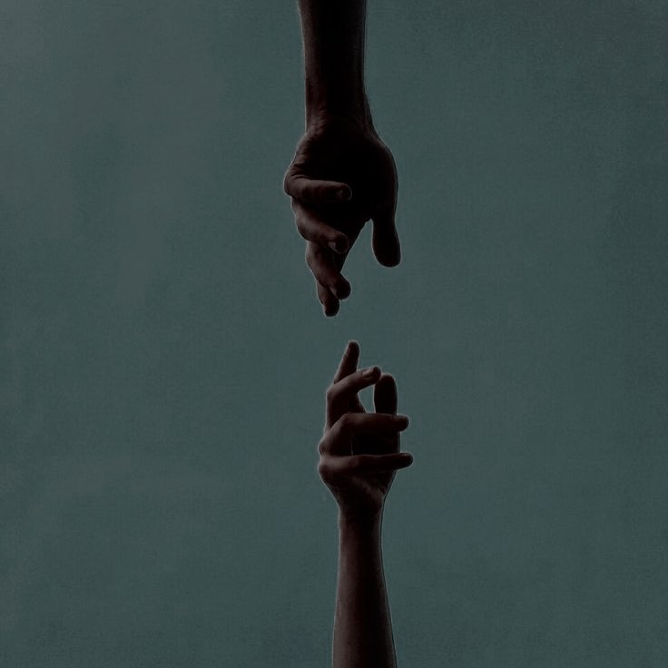 ‍ ‍ ꔋ𝘏𝗘 𝗚𐌉𝗩𝗘𝙍.ᐟ tweet media