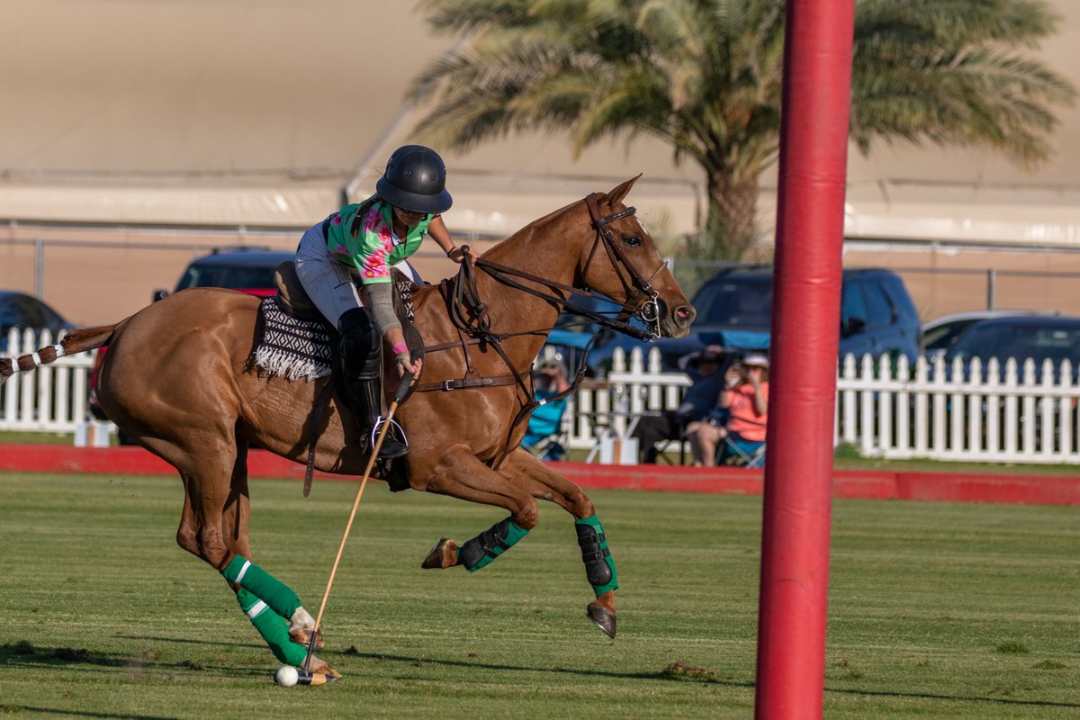 US Polo Association tweet media