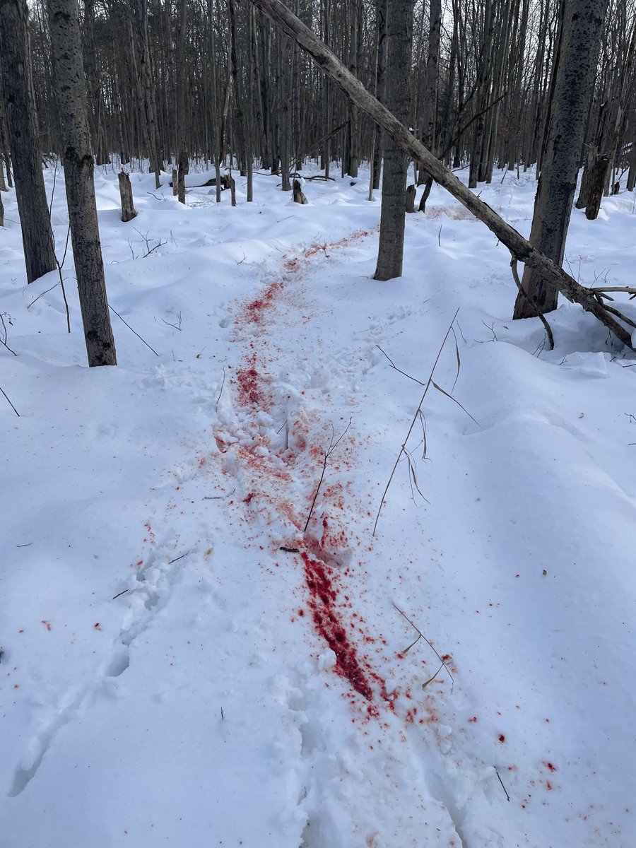 mentally i am here (@mindpeeks) on Twitter photo 