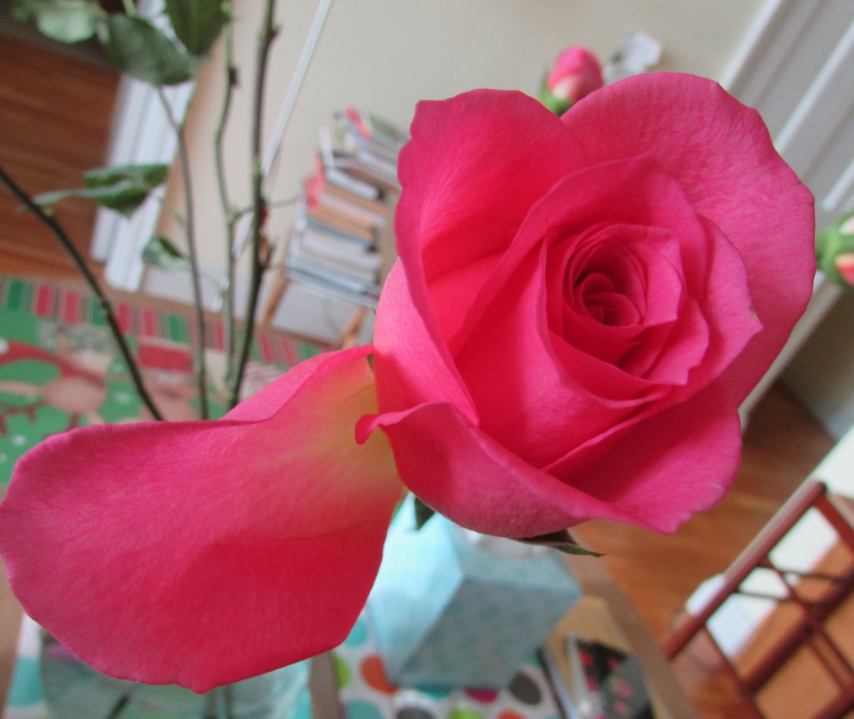 Diva_VIP's tweet image. Goodnight thank you.