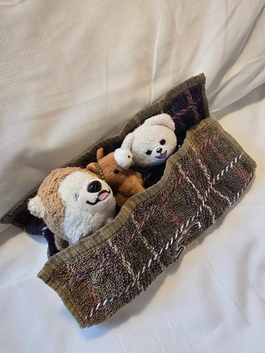 みちみょん🦭☁︎ᴬᴵᴹ (@pancorm) / Posts / X