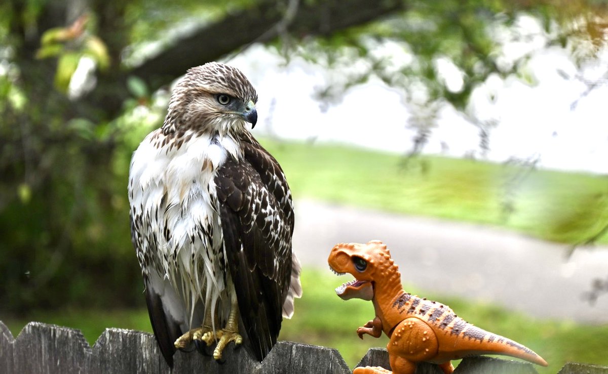 Bob Riter tweet media