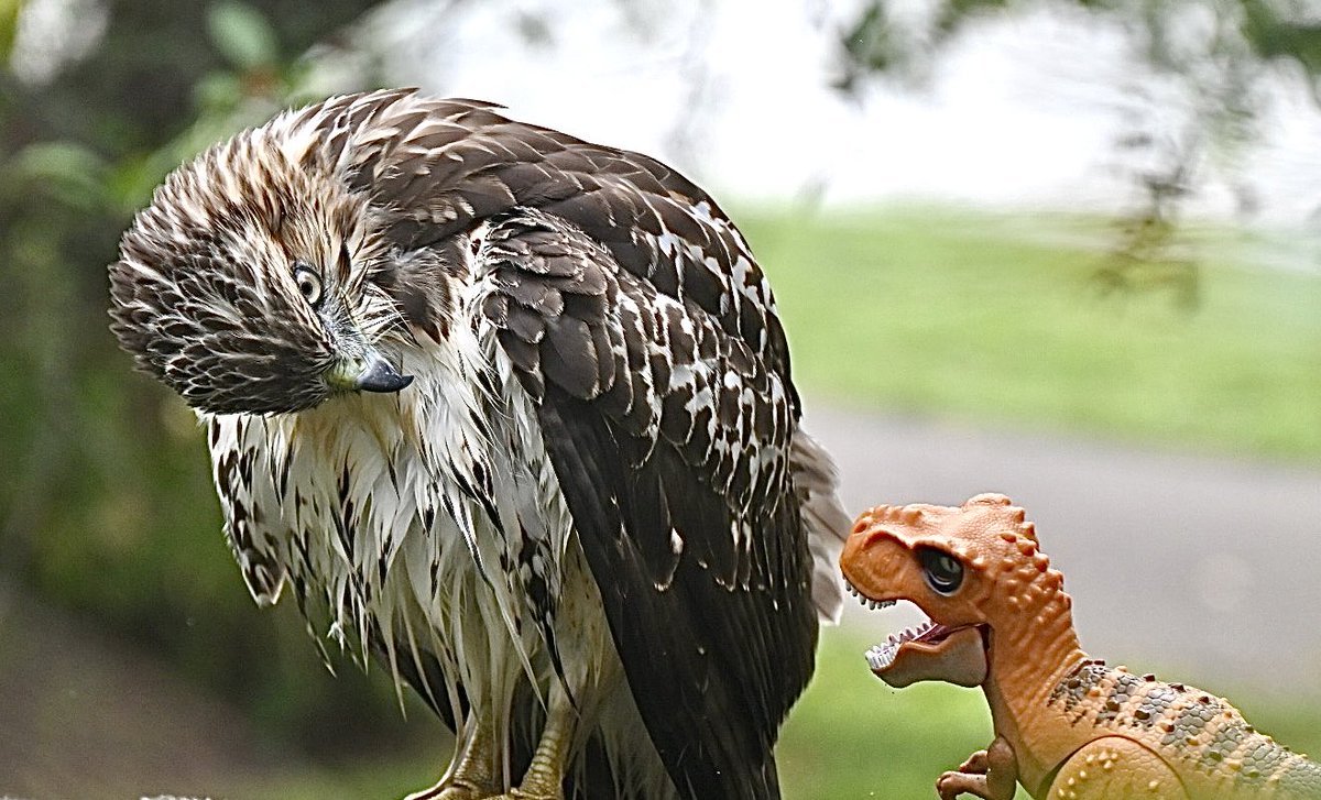 Bob Riter tweet media