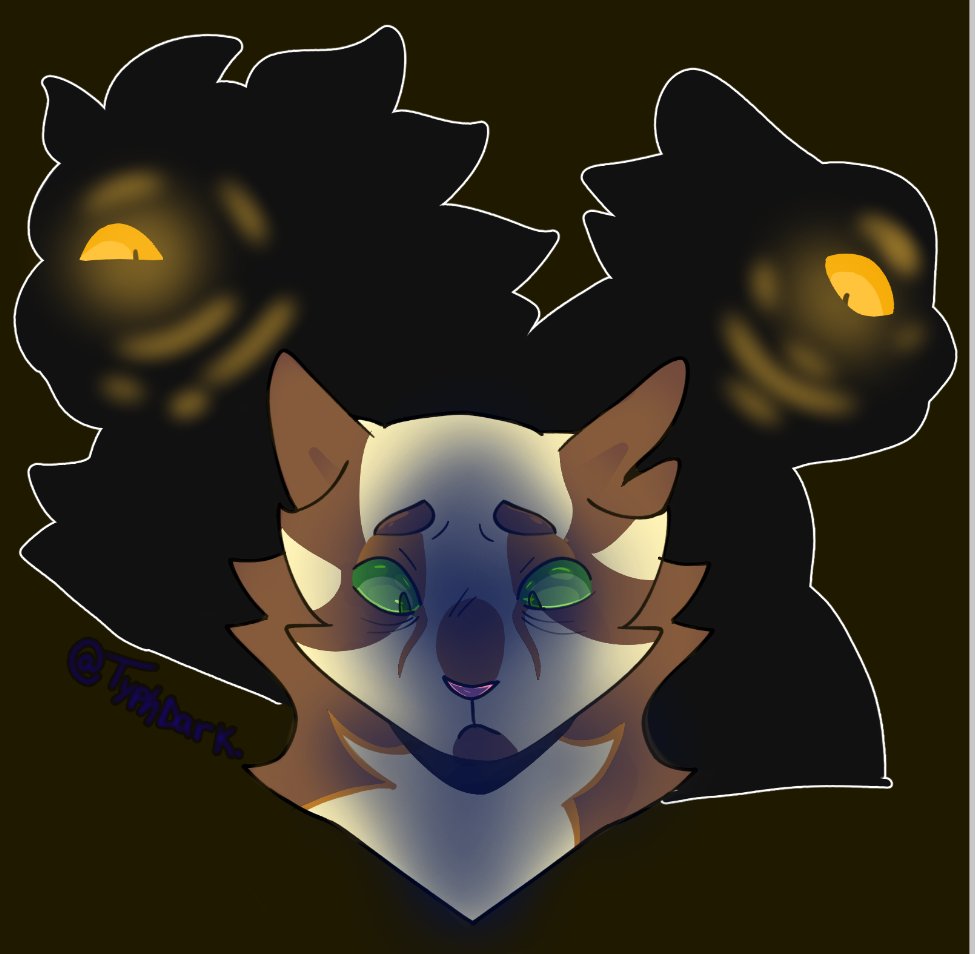 typh_dark's tweet photo. PT BR; Mais uma arte do Longtail WC com o Tigerclaw e o Darkstripe 
English: Another artwork by Longtail WC featuring Tigerclaw and Darkstripe. https://t.co/4Gop2lZV6E