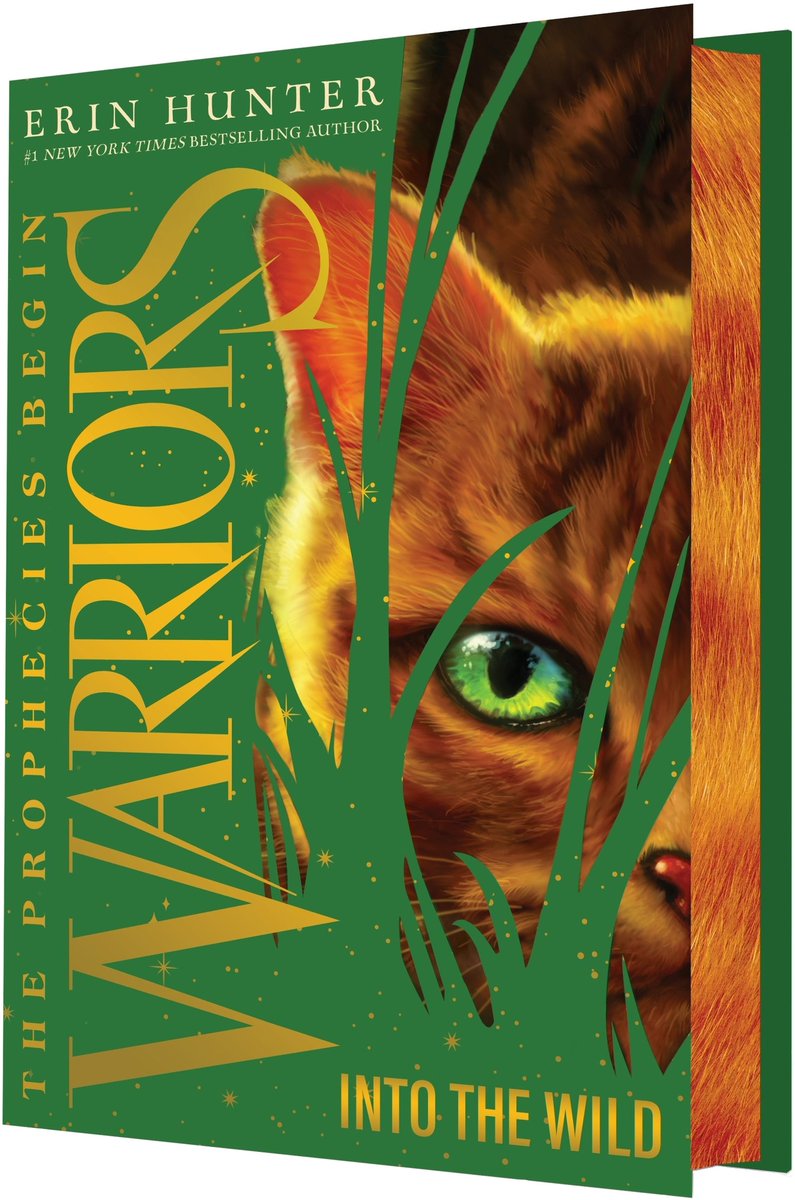 "It was a message from StarClan. Fire alone can save our Clan."

Into the Wild was released 23 years ago today! ✨Happy anniversary to the Warriors series! #warriorcats