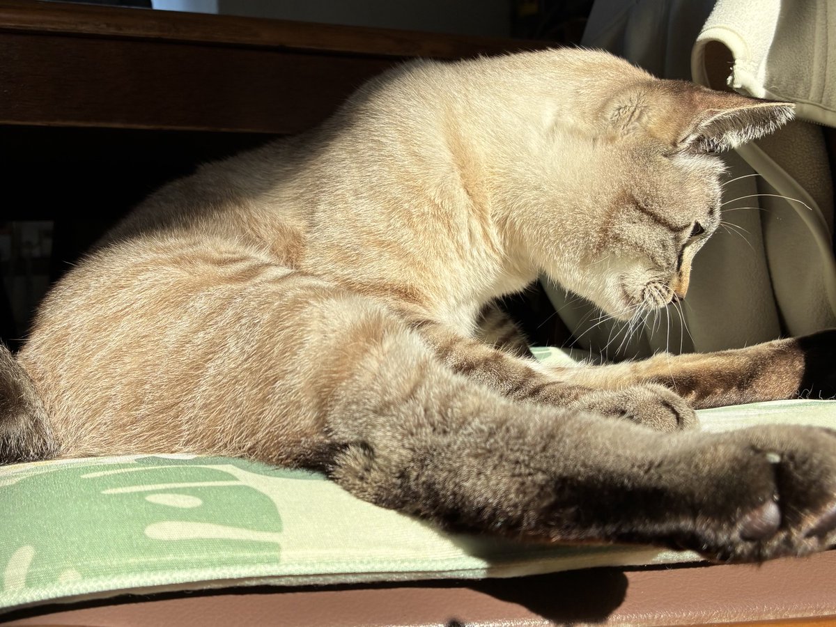 そらプロフ確認お願いします様　お取り引き　12/6 りそな銀行 確認のお願い メール | LaoSunZee（らおさんじぃ）のブログ