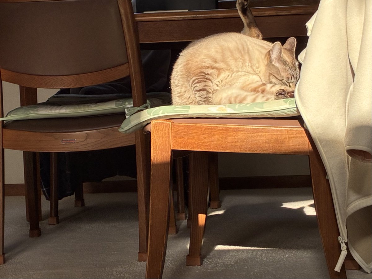 そらプロフ確認お願いします様　お取り引き　12/6 img06.jpg