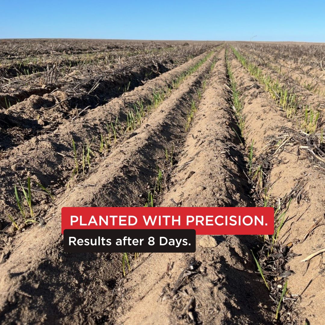 🌱 Consistent seed-to-soil contact made simple.

With Morris Auto-Pack, packing pressure stays steady across changing paddock conditions—helping deliver strong germination from the start.

Find your local here and learn more 👉🔗 loom.ly/u_BjJg0