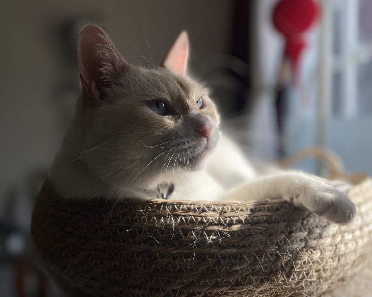 “La luz puede encontrarse incluso en los momentos más oscuros, si uno recuerda encenderla.”