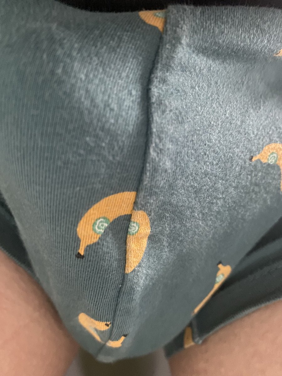Pwd0899's tweet photo. #underware #morningwood  #內褲控 #晨勃 https://t.co/tFEHUom8zy