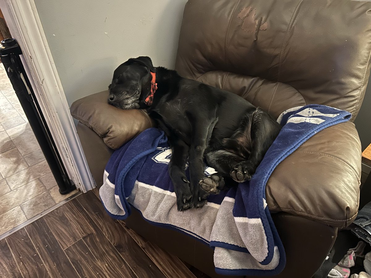 Chris Downey tweet media