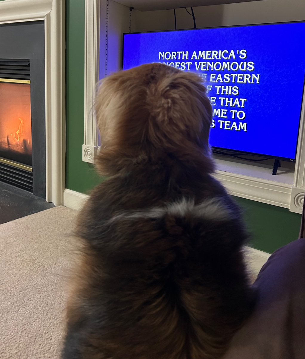 Mackey Update:  He’s visiting his great-uncle for Christmas. It’s great having my Jeopardy buddy here.