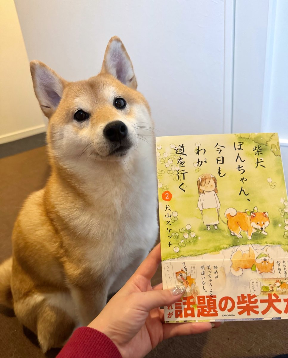 天使 (@purinmelonpan) / Posts / X