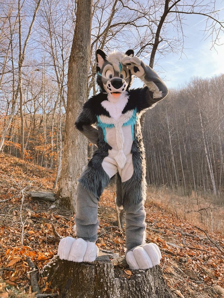 _Uro's tweet image. Oh look, and friend!

🐶 = Comet