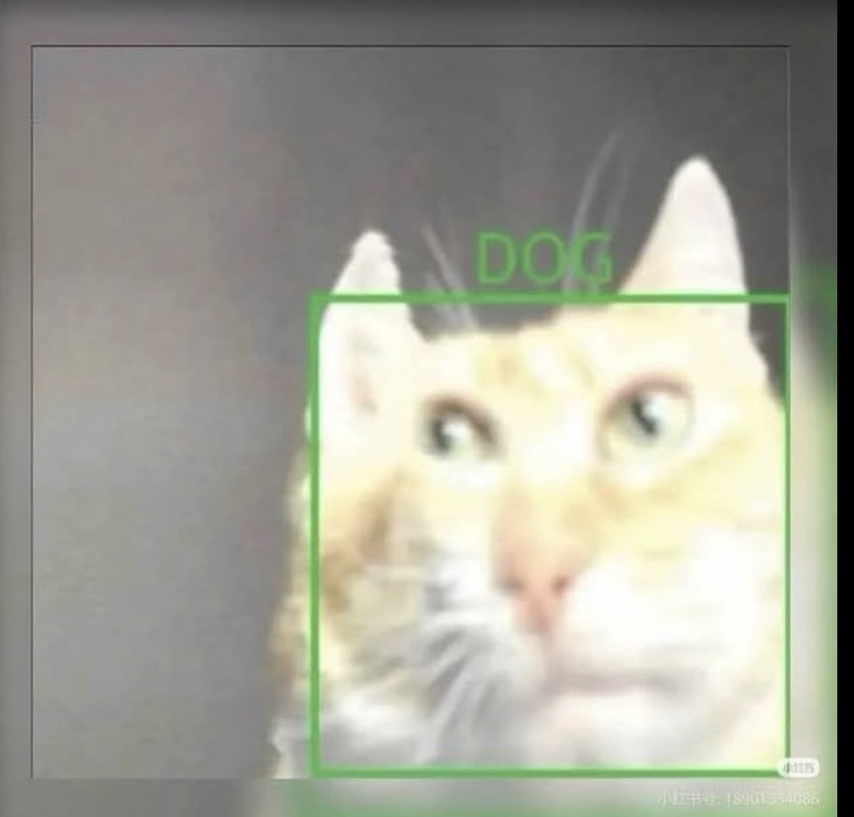 roblox age estimation