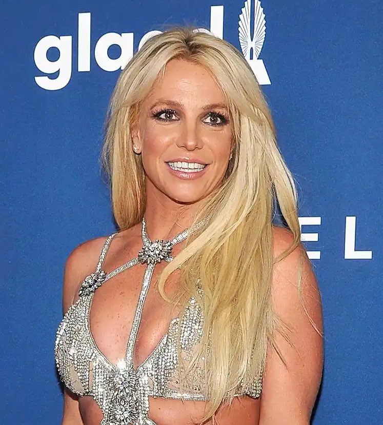 Britney Stan 🌹 tweet media