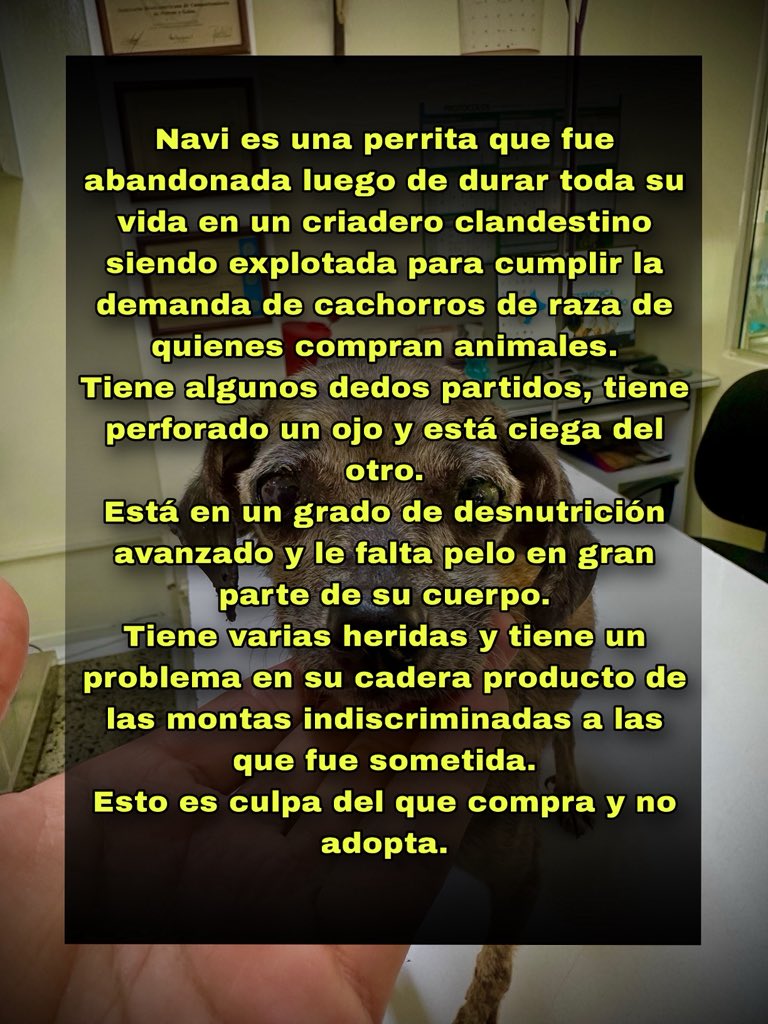 Rescates especiales. tweet media
