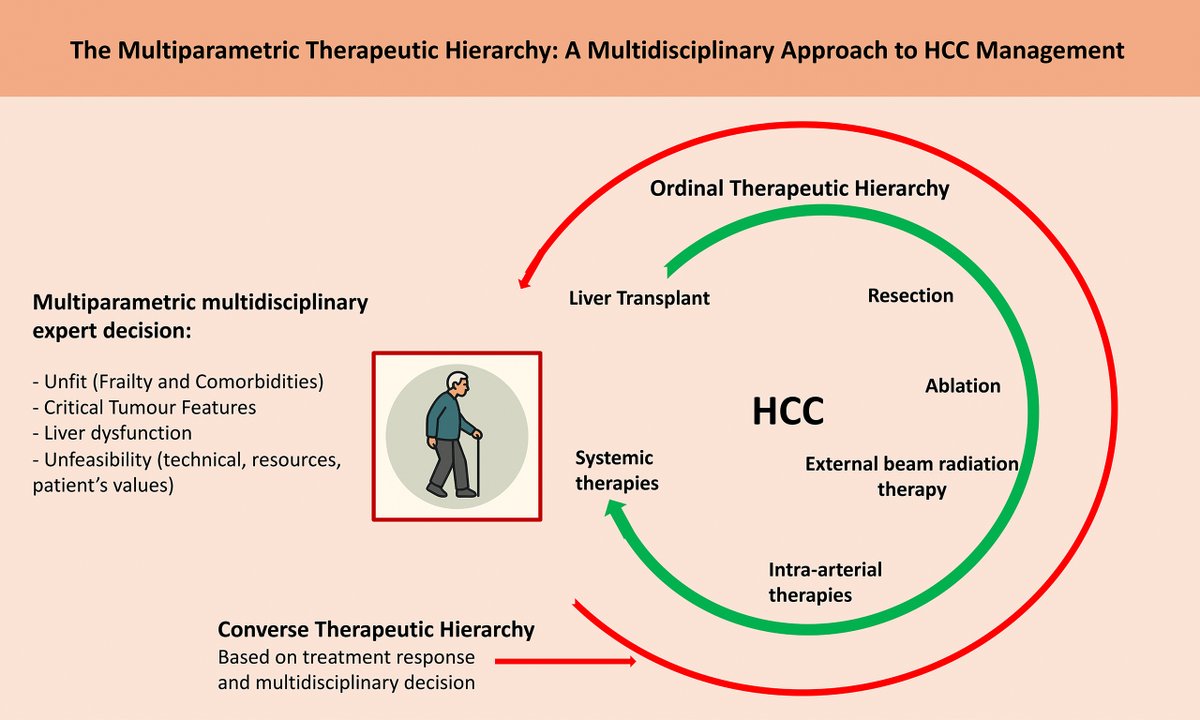 HepatomaRes's tweet photo. 🧩 The Multiparametric Therapeutic Hierarchy: A Multidisciplinary Approach to #HepatocellularCarcinoma Management

🧠 Beyond staging: biology &amp; feasibility
👥 Structured MDT decision-making
💡 Dynamic, patient-centered treatment pathways

🔗[https://t.co/OfOxbCFXaY] https://t.co/KlaLtBhCIi