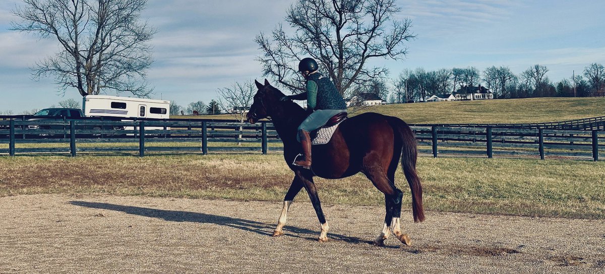 Kaitlyn Cawley-Villalobos (@cawley_kn) on Twitter photo 