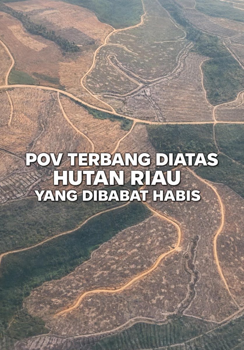 KangManto123's tweet image. 📸📸