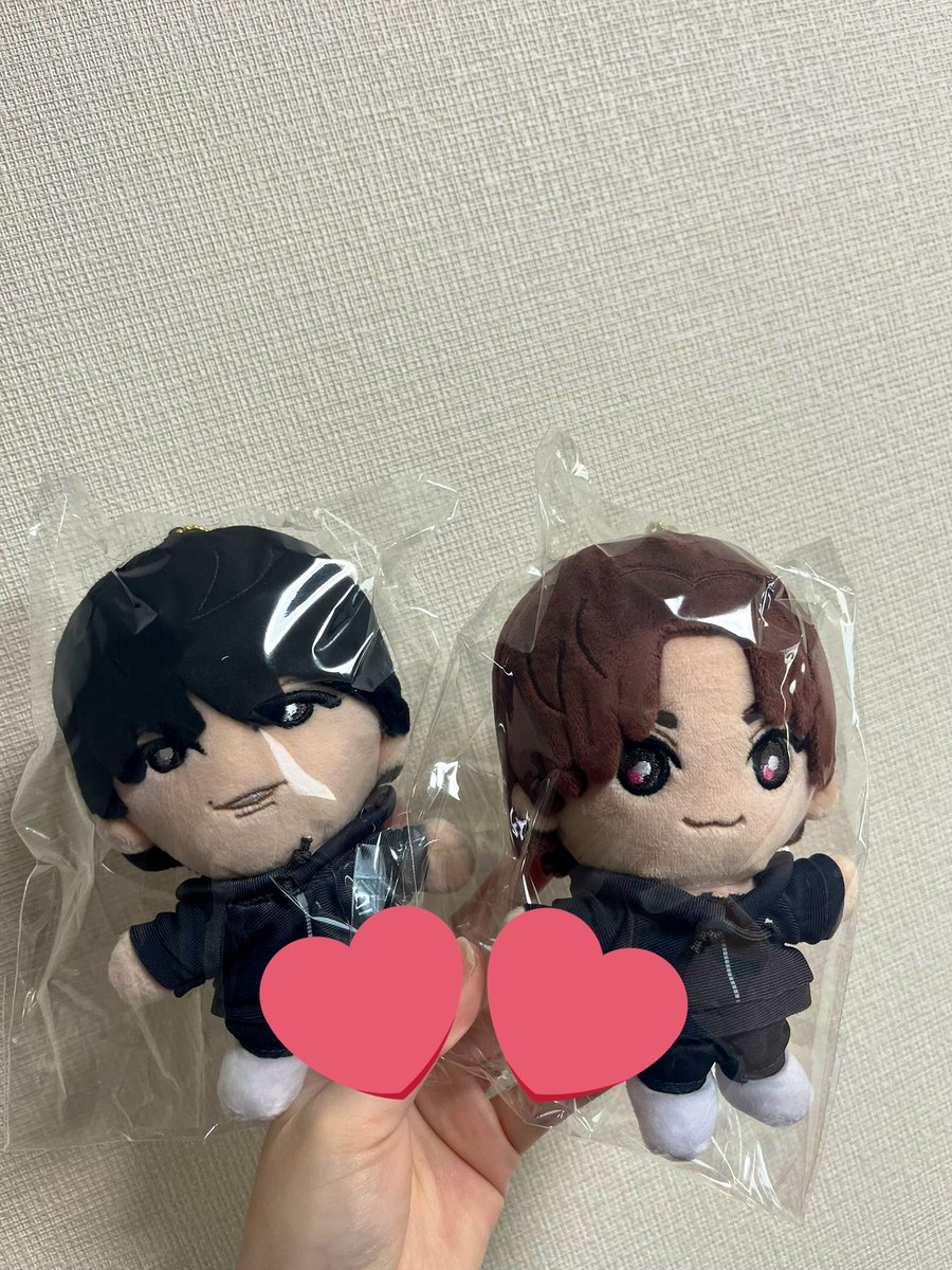 朝一グッズ届いてた！ ほくぬいと大我ぬいようこそ我が家へ🩷🖤 想像