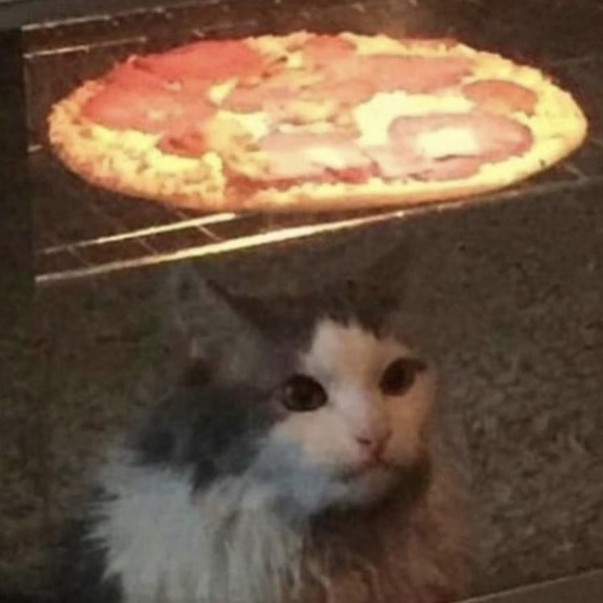 dotssenko's tweet image. дякую @dextrometor4an за чудове порівняння!!