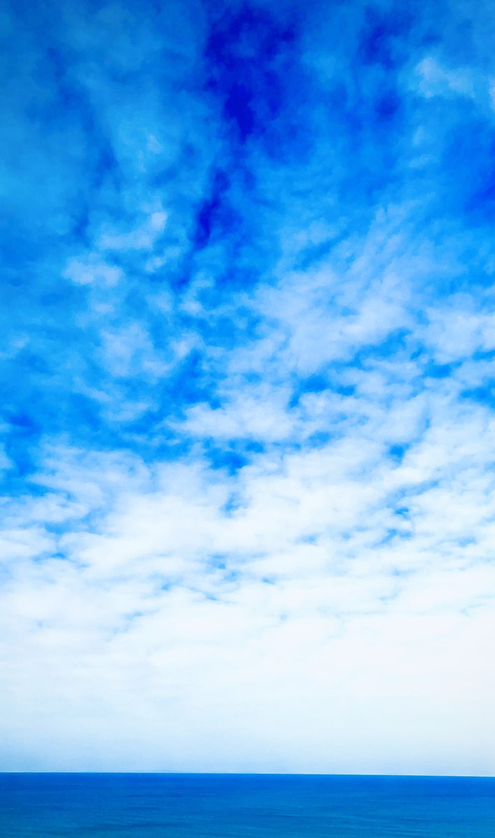 キャサリン*·̩͙𓈒𓂂𓏸❁¨̮ෆ˚* (@ErKyasarin39168) / Posts / X