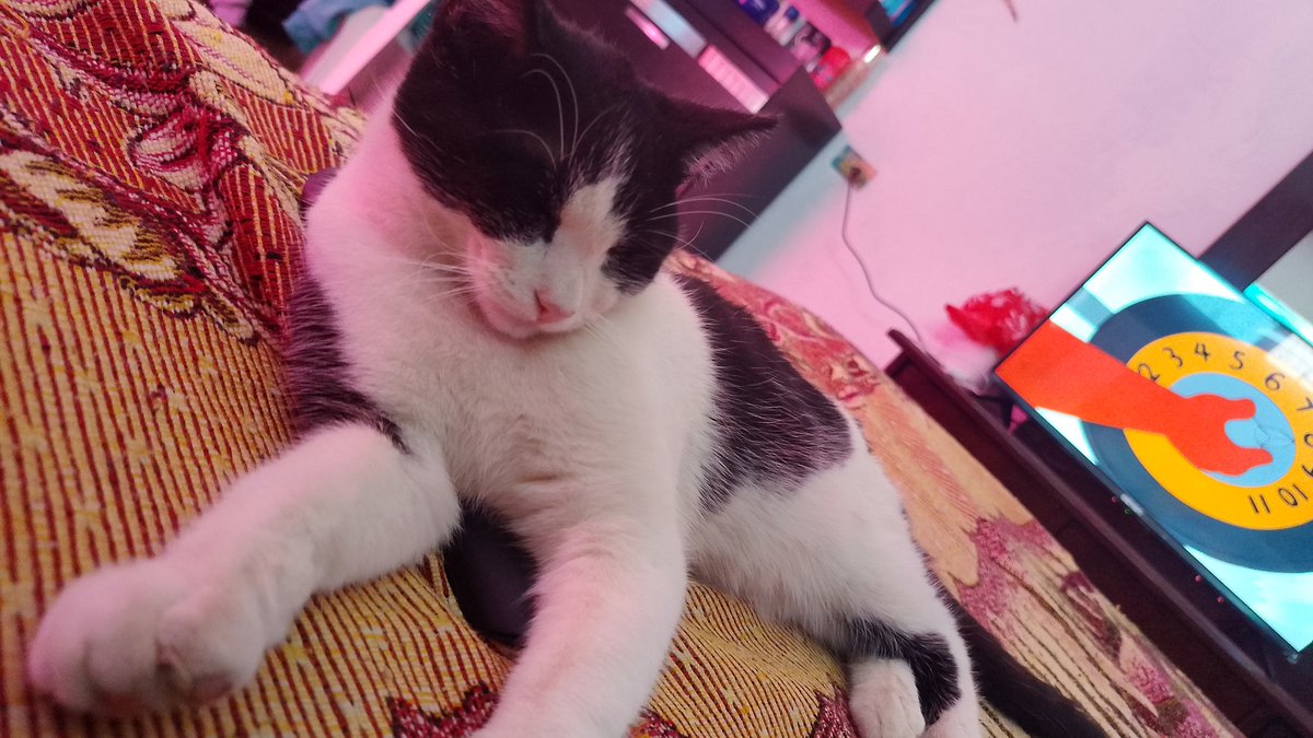 derieri77's tweet image. 