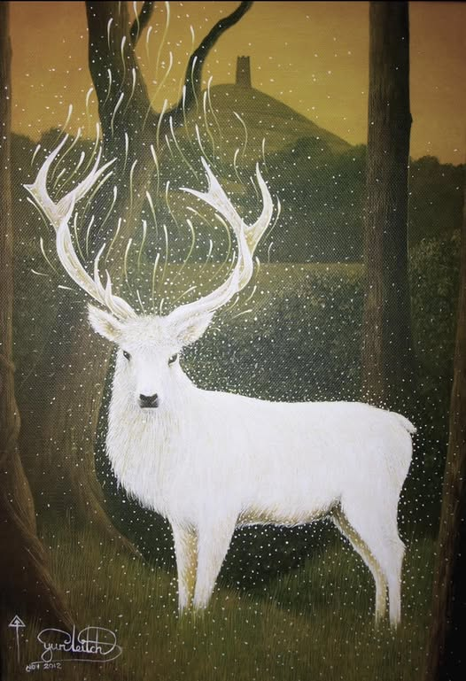SubRosaMagick's tweet photo. THE WHITE HART AND THE YEW
"Insights can come from random places.
Lately I have been reading about Yggdrasil, the world tree from Norse mythology.  There is a whole load of symbolism wrapped up in the traditional descriptions of Yggdrasil – one fascinating detail is that there are four stags that nibble at its low-hanging branches, and as they do so, lifting their heads tilts their antlers back and downward-pointing over their shoulders.  Dew dropping from the tree’s foliage runs down the antlers of the four stags and drips to the ground – and this is the source of all the streams, springs, and rivers of Middle Earth, our world.
There is some debate as to whether Yggdrasil is a great Ash tree or a great Yew tree – it is known as the ‘evergreen Ash’ but Ash trees are not evergreens.  Personally, I like the idea of it being a Yew tree as the Yew is so sacred (as the Winter Solstice rebirth tree, and conclusion tree of the Ogham).  Yews live longest in the tree world; they can live for many thousands of years.  That said, Ash is very special too (and in the Ogham it holds the Spring Equinox position).  Yew holds the rebirth of the sun and thus the beginning of a new Solar Year, Ash at Spring Equinox holds the beginning of a new Agricultural Year – maybe it depended upon which moment in the year was more important to each tribe?
The five guardian trees of ancient Ireland were three Ash trees (in county Meath) and two Yew trees (in county Leinster) – so both Ash and Yew were venerated as especially important across northern Europe.
Anyway, pondering the four stags nibbling Yggdrasil - Yew is extremely toxic, so would deer actually consume Yew tree foliage?
It turns out, yes, rather surprisingly, some species of deer can eat Yew foliage and Yew arils (its red fruit).  Deer have digestive systems that can pass away the toxic seeds of the Yew fruit – as reindeer can happily munch Fly Agaric mushrooms.  Grey Squirrels, Badgers, Fox, and many birds can also feed on the fruit of the Yew tree.  So too can humans eat the red flesh of Yew arils – BUT NOT THE STONE-SEED-PIP which is highly toxic.
I thought this was very interesting as both the White Hart and the Yew belong to each other as representing midwinter symbolism – and they are symbiont, or rather, the totem animal of the Winter Solstice can survive through the winter on the fruit and foliage of the Winter Solstice tree."
Author unknown
The White Hart painting by Yuri Leitch