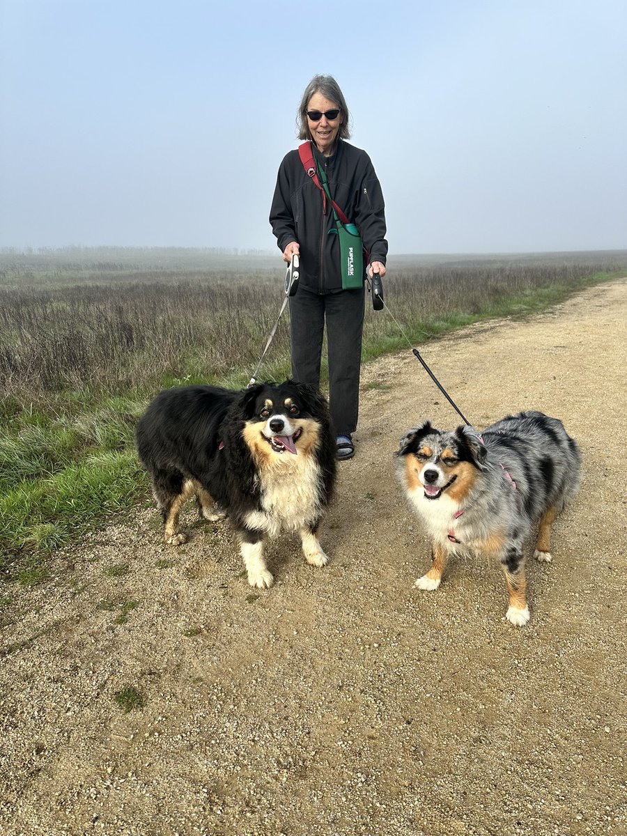 Karen Freberg, Ph.D. tweet media