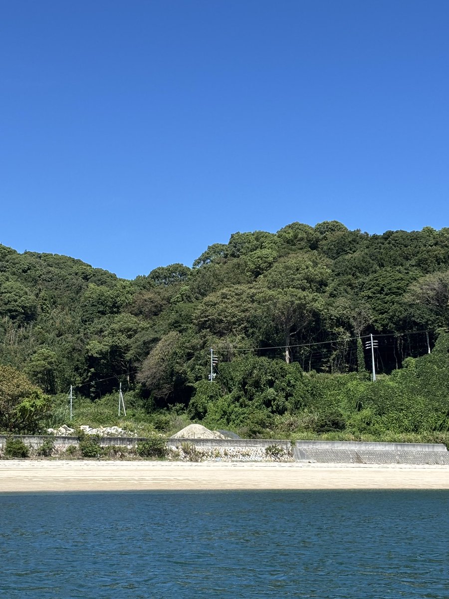 yama_ch (@yamach80996239) / Posts / X