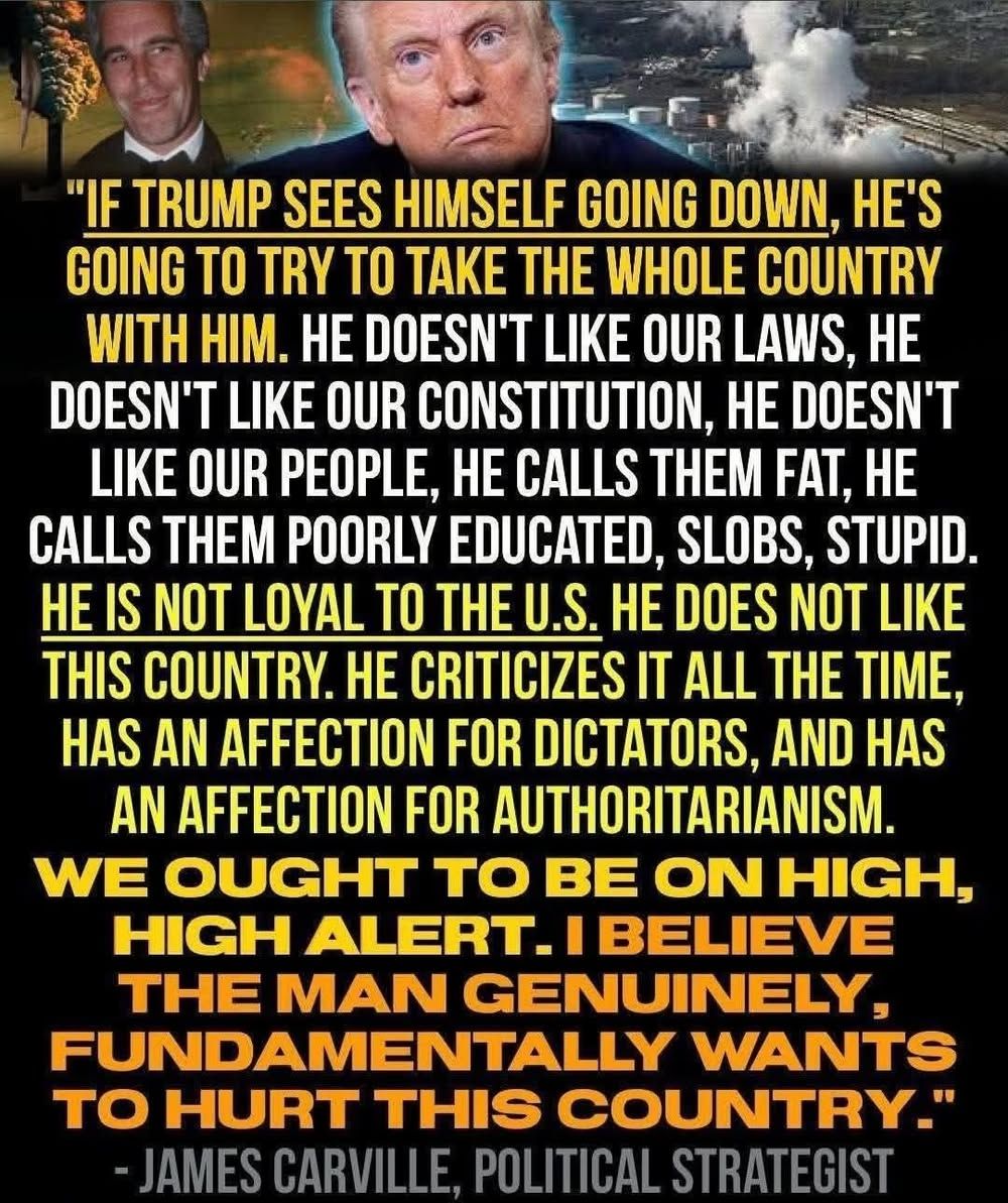 DarkWebNinja1's tweet image. Won't really matter Trump will lie when asked!