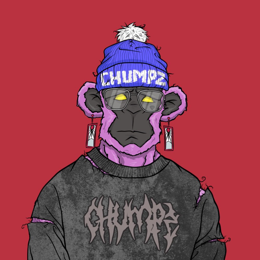 buckydientes tweet media