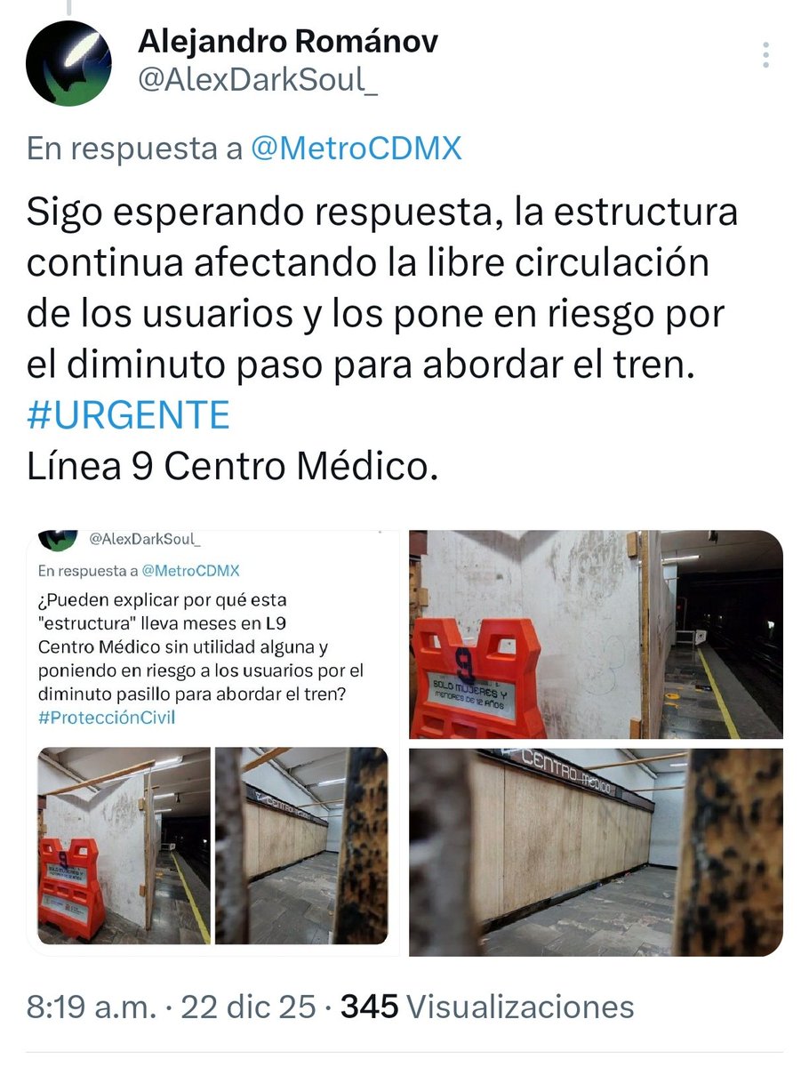 Alejandro Románov tweet media