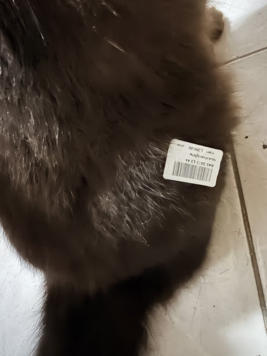 2_b_exist's tweet image. ไถดูแกลลอรี่เจอรูปนี้ เดือนกว่าได้ละมั้ง เมื่อยูเมะมาที่บ้านพร้อมติดป้ายราคา 🤣