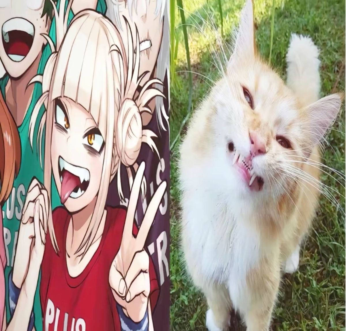 SmallMightu's tweet image. If they don’t come to where I live and play mha so I can die peacefully and explode on the spot

I’m going to make it everyone’s PROBLEM