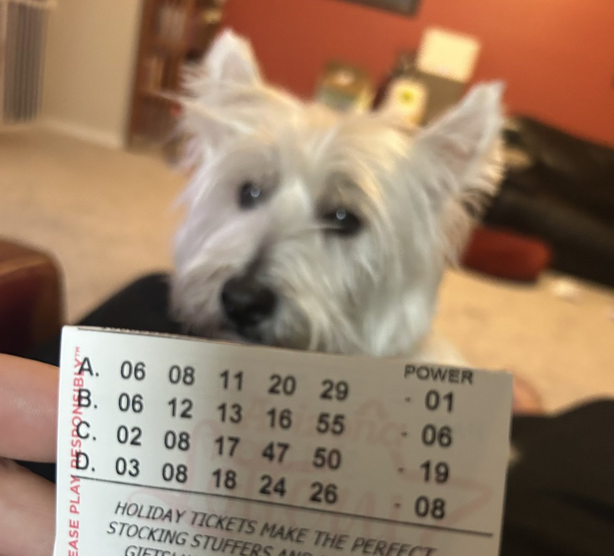 Aaron Leupp 🧚‍♀️ tweet media