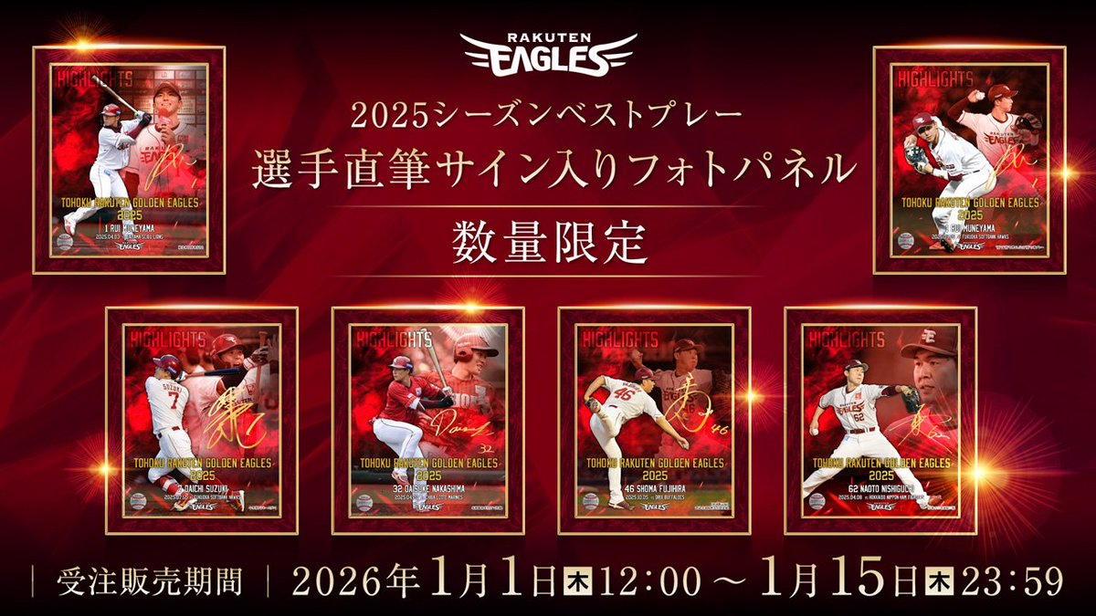 ╋━━━━━━━ 2025シーズンベストプレー✨ 直筆サイン入りフォト