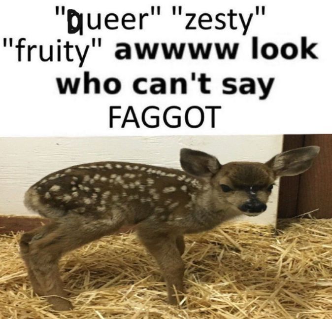 deershouldnt's tweet image. 