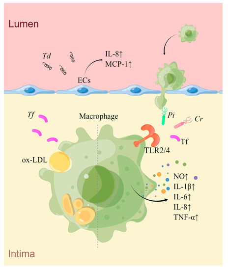 Dr Graham Lloyd-Jones tweet media