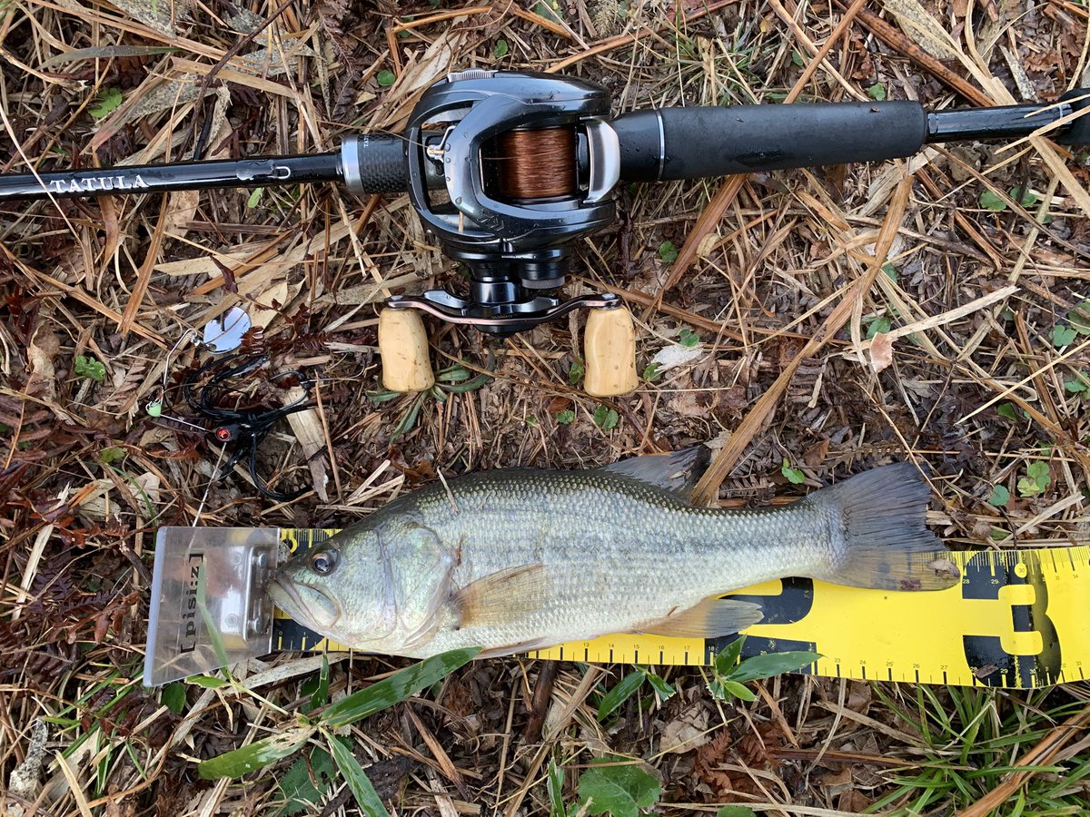 AvinchuKatsu's tweet photo. 先日の朝練🎣
サイズは小さいながら、冷え込んだ朝の早い時間帯に、スピナーベイト の巻き巻きに反応してくれたバスに感謝🙏
これが釣り納めになるか、あと1回釣りに行けるか...悩み中です(笑)
#DAIWA
#TATULA_XT
#TATULA_SV_TW
#RAIDJAPAN
#LevelSpinPino
#shikkoku
#Fishing_Team_BIG_MOUTH https://t.co/qwAw13ky0n