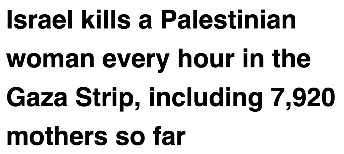 Noah Samsen (@noahsamsen_) on Twitter photo 