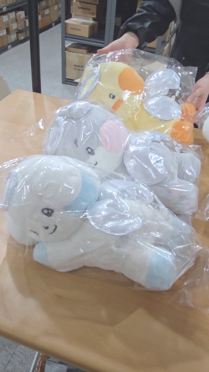 GlobalSH_kr's tweet image. [🪽] ZEROBASEONE Zeroni Angel Big Lying Plush✨ #Koreanwarehouse 

The cuties you ordered through proxy buying service and kr address rental have arrived!📦We'll keep it safe and ship it when you want!(｡･∀･)ﾉﾞ

👉litt.ly/GlobalSH.kr

Kaddy kpop group order zb1 wts wtb