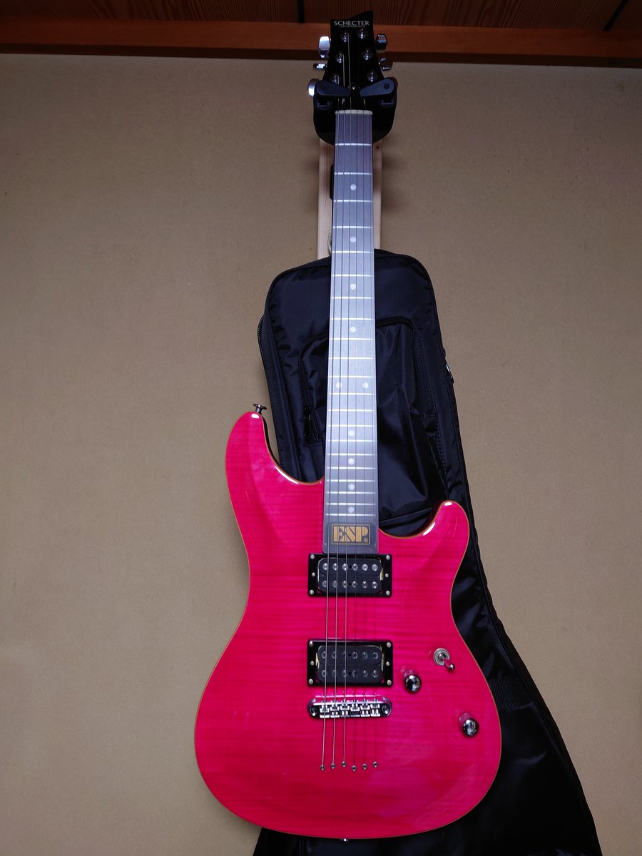 そういえば、これも今年のはじめに買ってた。 ＃ZEMAITIS ＃SCHECTER