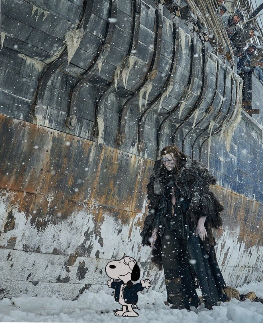 snoopy lover (@snoopyfever_) on Twitter photo 